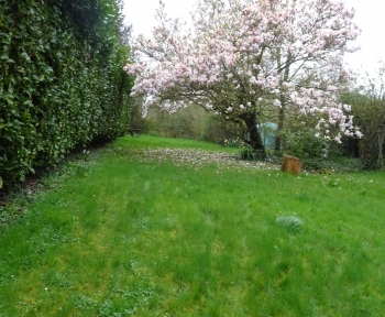 Location Maison avec jardin 6 pièces Attiches (59551)