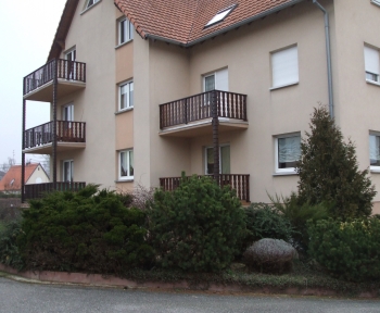 Location Appartement 4 pièces Soultz-sous-Forêts (67250) - SEMI RDC