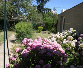 Location Maison avec jardin 7 pièces Thionville (57100)