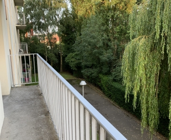 Location Appartement 1 pièce Roubaix (59100)