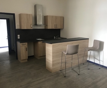 Location Appartement 1 pièce Issoudun (36100) - Rue aux lièvres