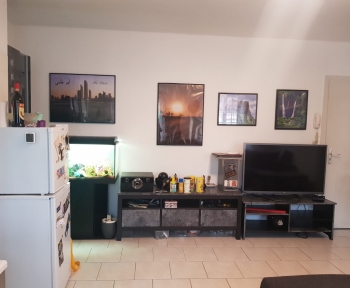 Location Appartement 2 pièces Lauterbourg (67630)