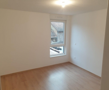 Location Appartement 2 pièces Osthoffen (67990) - RDC et jardin terrasse