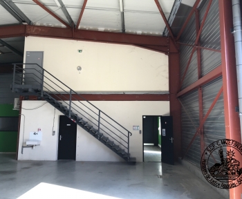 Location Local commercial 5 pièces Jonquières (84150) - JONQUIERES